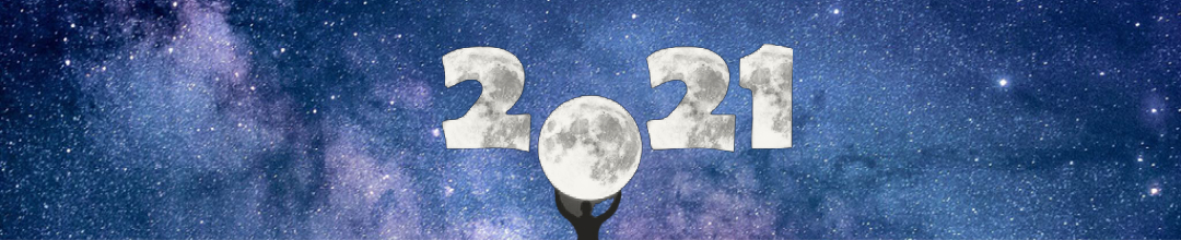 2021’de Gökyüzü – Yeni hayat düzenine adaptasyon  ve özgürlüklerin kısıtlanması